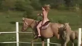 Dessous, Strümpfe, o ...
